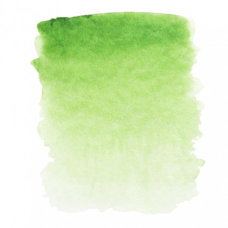 Травяная зеленая акварель "Белые ночи", кювет 2.5 мл.