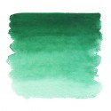 Зеленая светлая акварель "Белые ночи", кювет 2.5 мл.