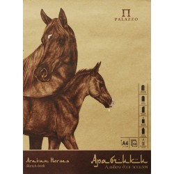 Альбом для эскизов "Арабчики", А4 с картонной подложкой на пружине 50 л.