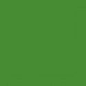 Sketchmarker Зеленая пальма (SMG61, Palm Green)